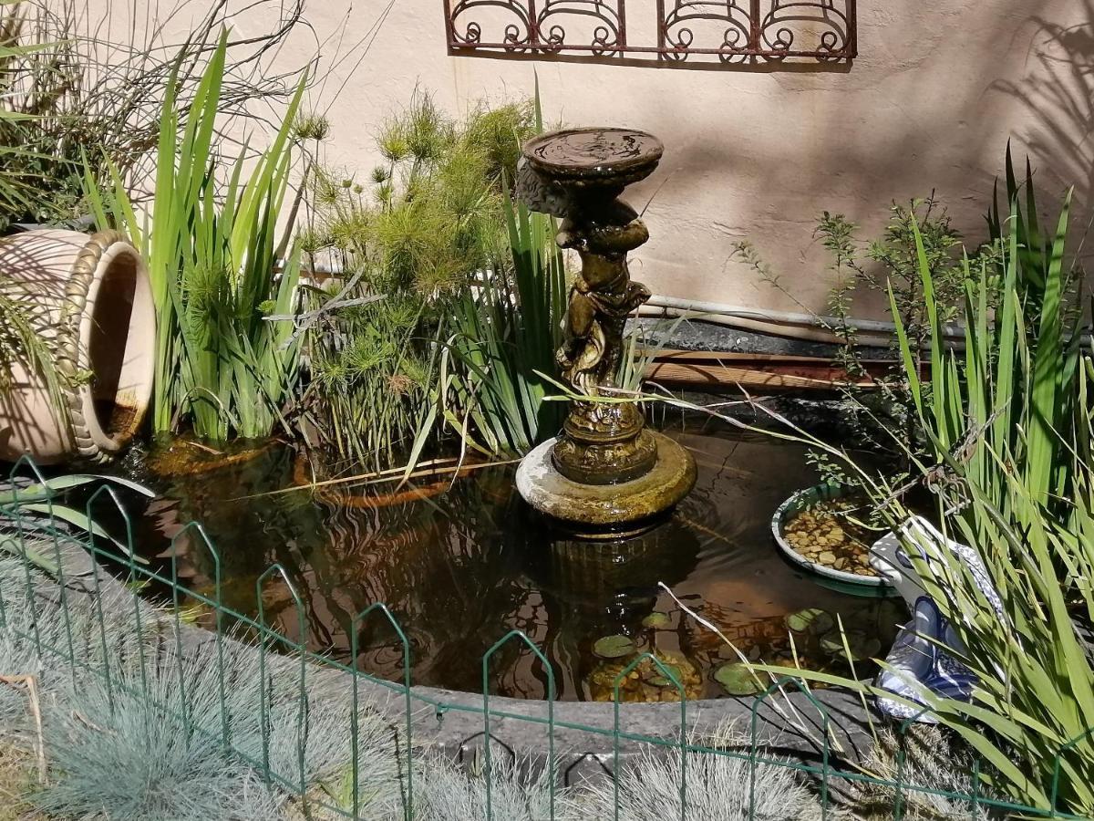 Bed and Breakfast Squirrels Corner Montagu Exterior foto
