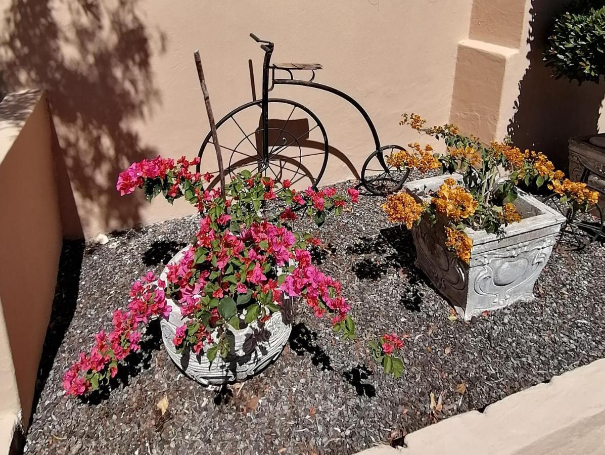 Bed and Breakfast Squirrels Corner Montagu Exterior foto
